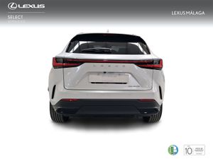 Lexus NX 350h Executive+ 2WD  - Foto 5