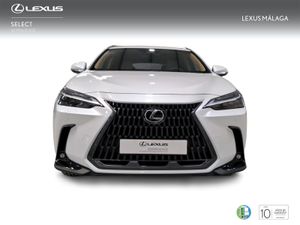 Lexus NX 350h Executive+ 2WD  - Foto 6