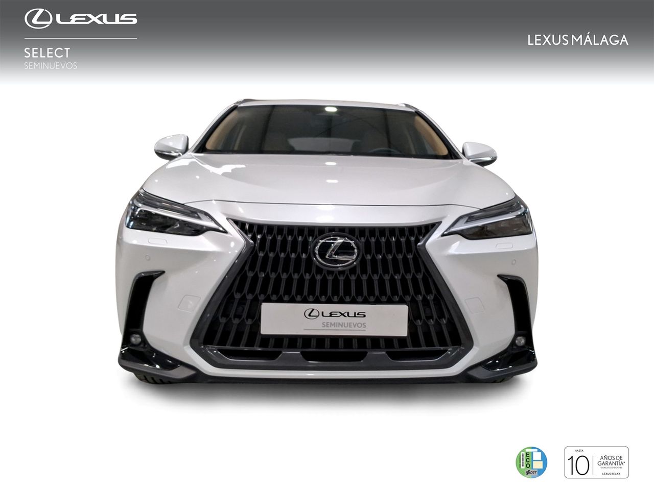 Lexus NX 350h Executive+ 2WD  - Foto 6