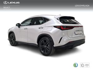 Lexus NX 350h Executive+ 2WD  - Foto 3