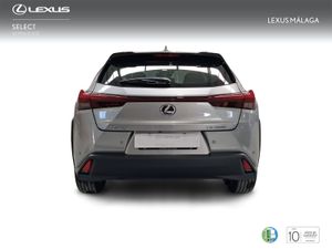 Lexus UX 2.0 300h UX Plus  - Foto 5