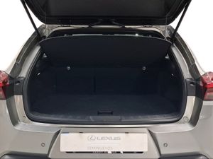 Lexus UX 2.0 300h UX Plus  - Foto 10