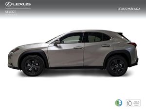 Lexus UX 2.0 300h UX Plus  - Foto 4