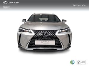 Lexus UX 2.0 300h UX Plus  - Foto 6