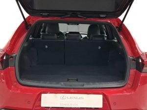 Lexus UX 2.0 300h UX Plus  - Foto 10