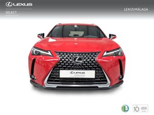 Lexus UX 2.0 300h UX Plus  - Foto 6