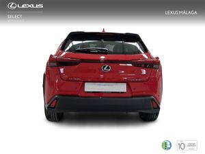Lexus UX 2.0 300h UX Plus  - Foto 5