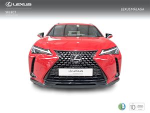Lexus UX 2.0 250h Business City  - Foto 6