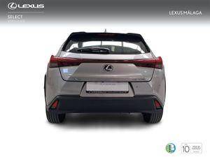 Lexus UX 2.0 250h Business  - Foto 5