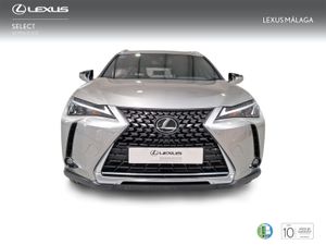 Lexus UX 2.0 250h Business  - Foto 6