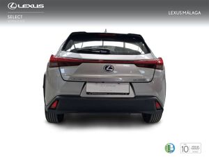 Lexus UX 2.0 250h Business  - Foto 5