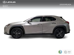 Lexus UX 2.0 250h Business  - Foto 4