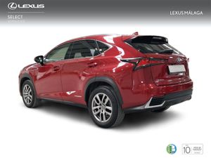 Lexus NX 2.5 300h Executive Navigation 4WD  - Foto 3