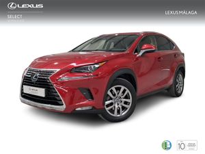 Lexus NX 2.5 300h Executive Navigation 4WD  - Foto 2