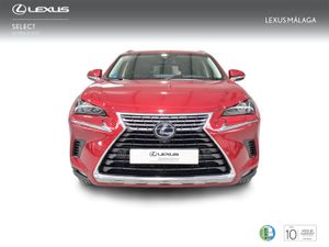 Lexus NX 2.5 300h Executive Navigation 4WD  - Foto 6