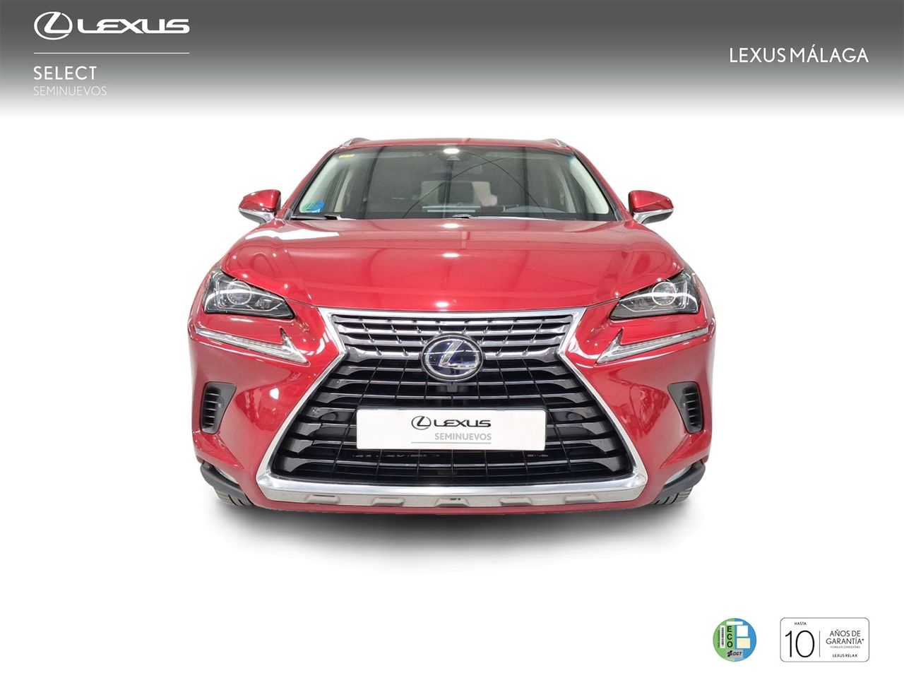 Lexus NX 2.5 300h Executive Navigation 4WD  - Foto 6