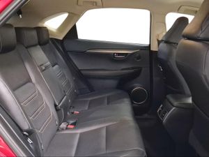 Lexus NX 2.5 300h Executive Navigation 4WD  - Foto 8