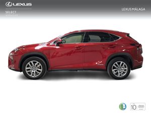 Lexus NX 2.5 300h Executive Navigation 4WD  - Foto 4