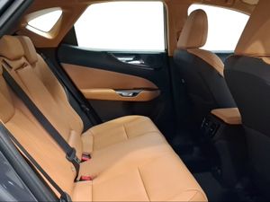 Lexus NX 350h Premium+ 2WD  - Foto 8