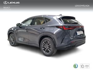 Lexus NX 350h Premium+ 2WD  - Foto 3