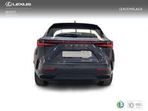 Lexus NX 350h Premium+ 2WD  - Foto 5