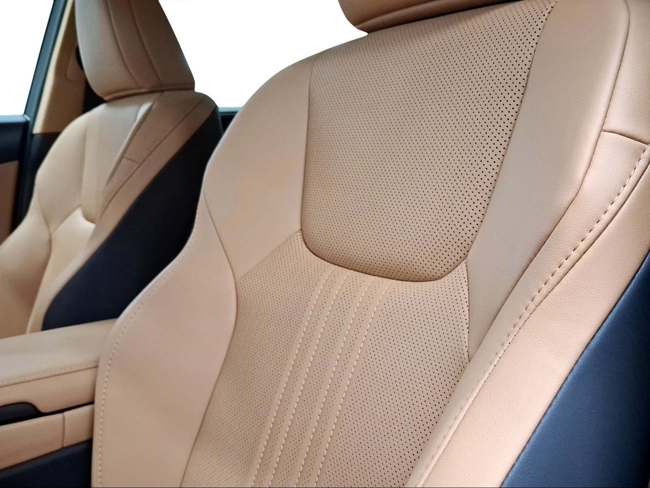 Lexus NX 350h Premium+ 2WD  - Foto 16