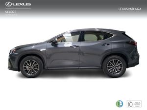 Lexus NX 350h Premium+ 2WD  - Foto 4