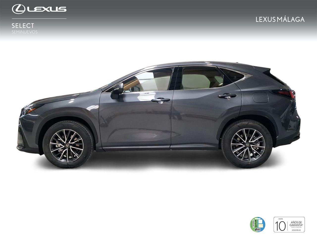 Lexus NX 350h Premium+ 2WD  - Foto 4