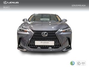 Lexus NX 350h Premium+ 2WD  - Foto 6