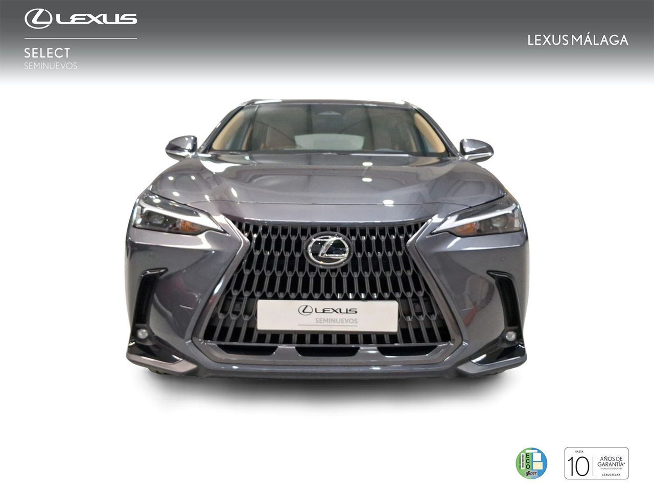 Lexus NX 350h Premium+ 2WD  - Foto 6