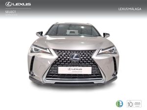 Lexus UX 2.0 250h Premium  - Foto 6