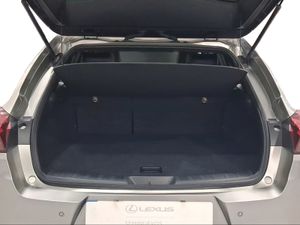 Lexus UX 2.0 250h Premium  - Foto 10