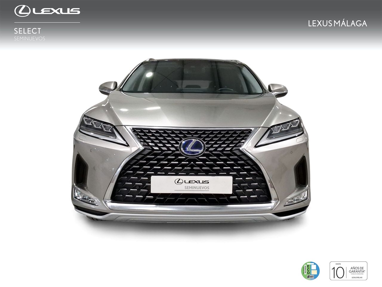 Lexus RX 450h Executive  - Foto 6