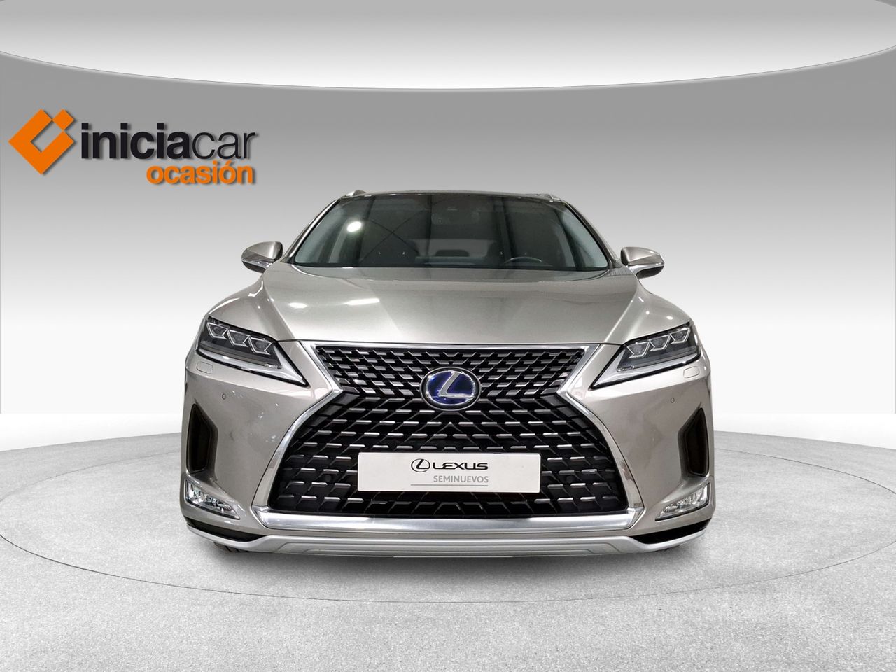 Lexus RX 450h Executive  - Foto 6