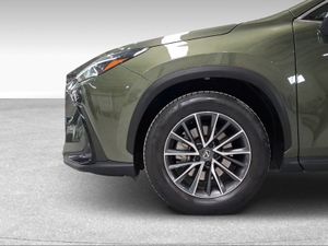 Lexus NX 350h Executive 2WD  - Foto 11