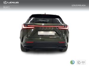 Lexus NX 350h Executive 2WD  - Foto 5