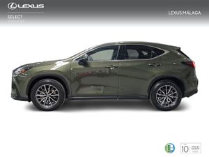 Lexus NX 350h Executive 2WD  - Foto 4