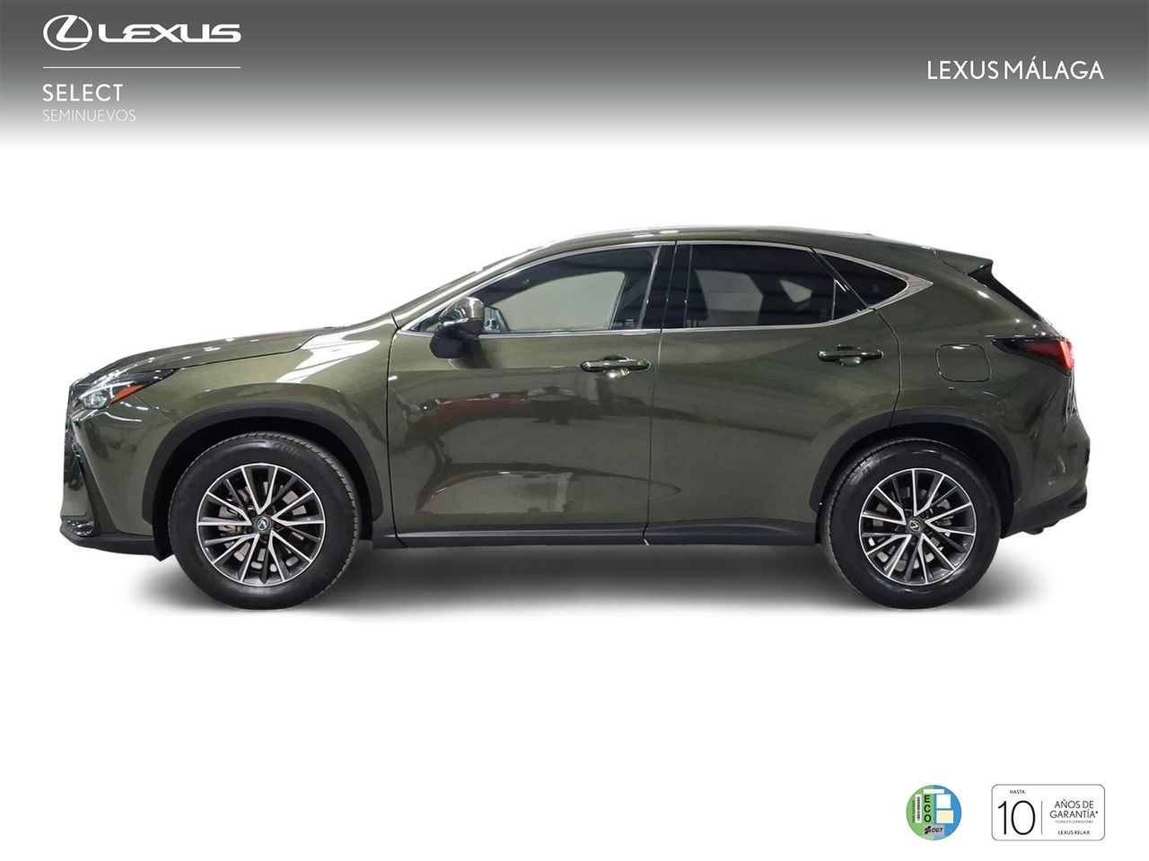 Lexus NX 350h Executive 2WD  - Foto 4