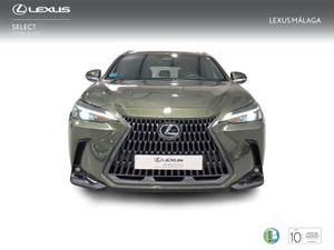 Lexus NX 350h Executive 2WD  - Foto 6