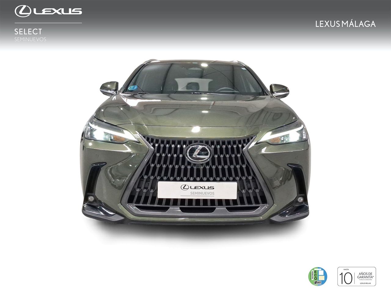 Lexus NX 350h Executive 2WD  - Foto 6