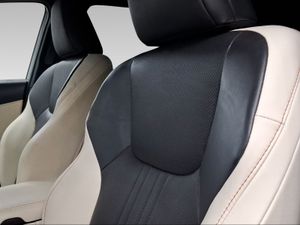 Lexus NX 350h Executive 2WD  - Foto 15