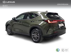 Lexus NX 350h Executive 2WD  - Foto 3