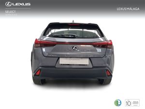 Lexus UX 2.0 250h Business  - Foto 5