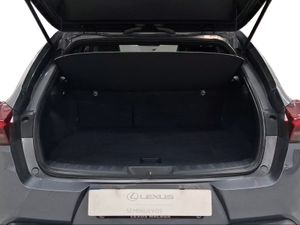Lexus UX 2.0 250h Business  - Foto 10