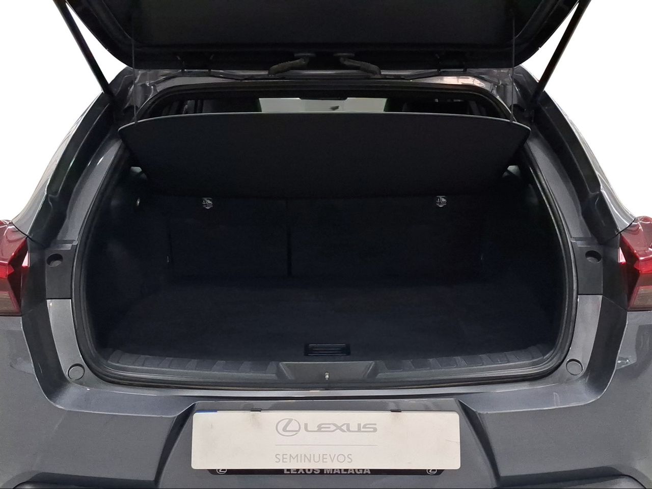Lexus UX 2.0 250h Business  - Foto 10