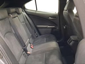 Lexus UX 2.0 250h Business  - Foto 8