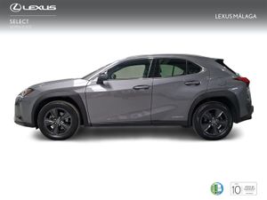 Lexus UX 2.0 250h Business  - Foto 4
