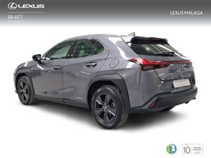 Lexus UX 2.0 250h Business  - Foto 3
