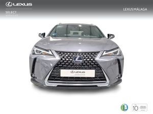 Lexus UX 2.0 250h Business  - Foto 6