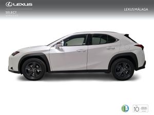 Lexus UX 2.0 300h UX Plus  - Foto 4